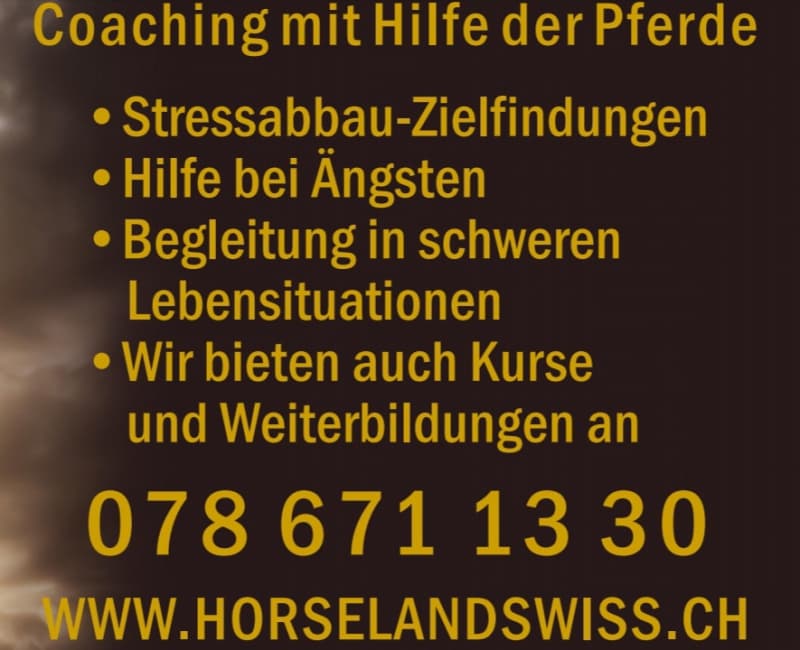 Coaching mit Pferd