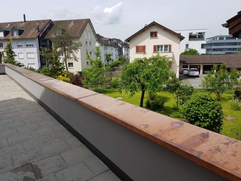 Einmalig im Kanton Zug 3.5-Zimmer-Wohnung mit riesiger 100m2 Terr