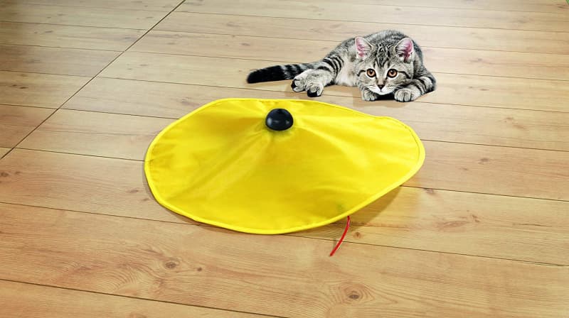 Elektronisches Spielzeug für Katze Katzen Indoor Zuhause Maus TV