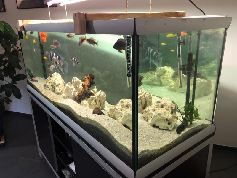 Aquarium