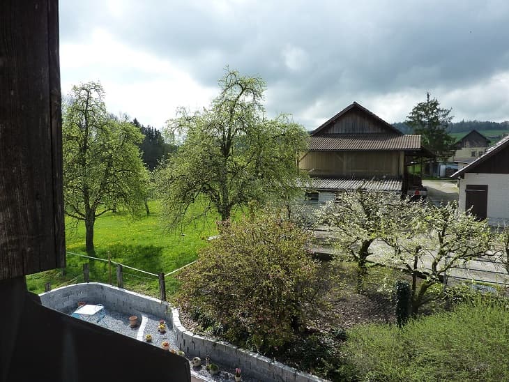 Privatverkauf eines sehr gepflegten Hauses in Büttikon