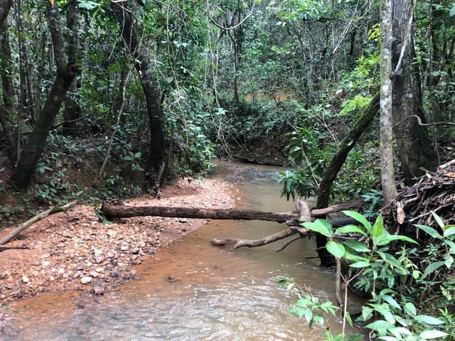 Brasilien 2'368 Ha grosses Grundstück (Goldvorkommen)