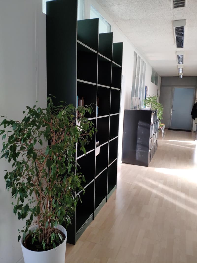 Büroauflösung: Möbel und Pflanzen preiswert abzugeben
