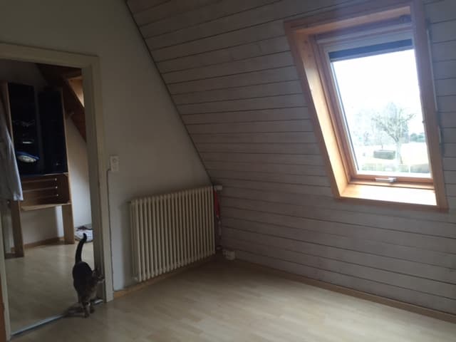 Zimmer zur Untermiete