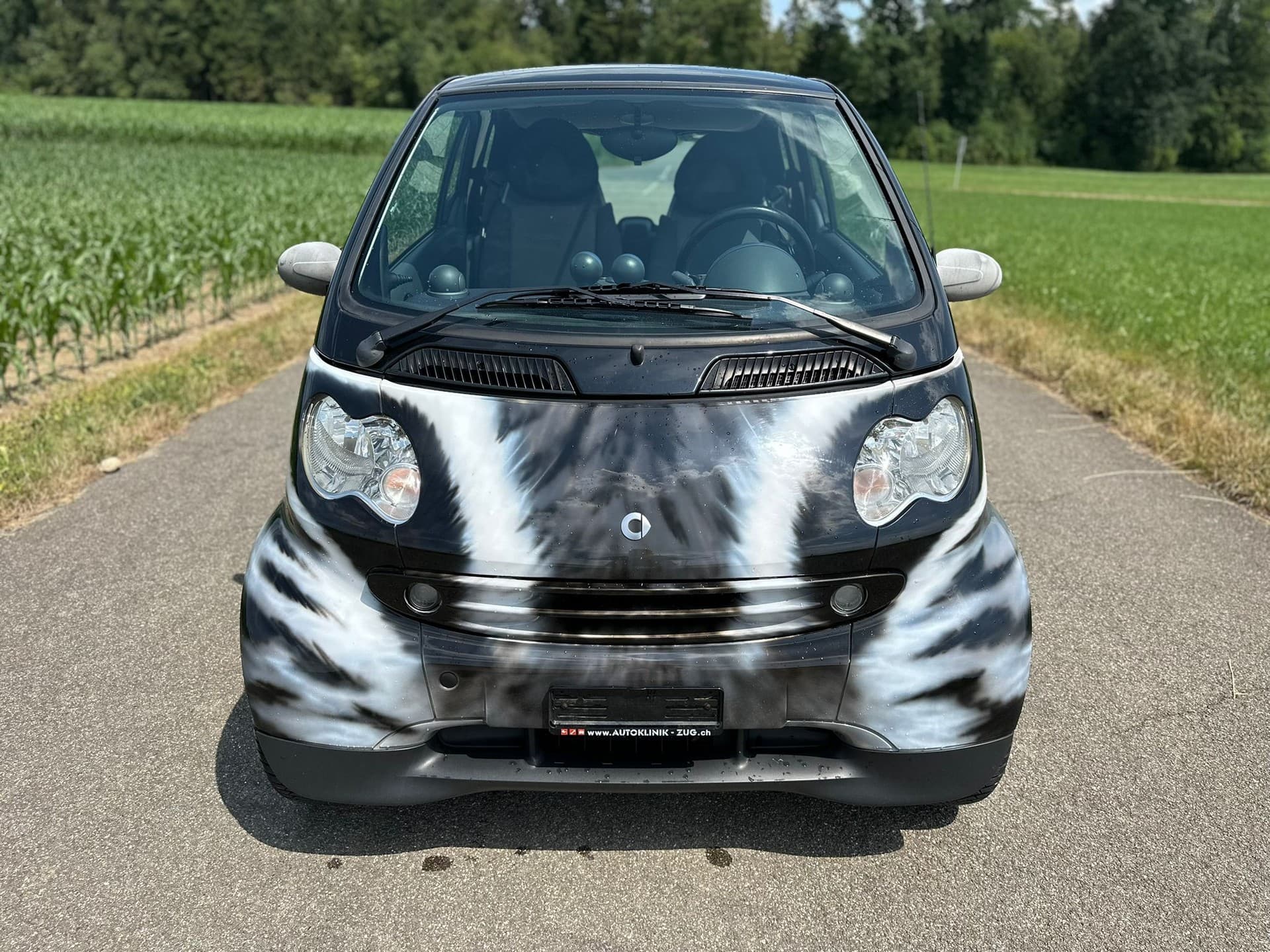 SMART fortwo passion