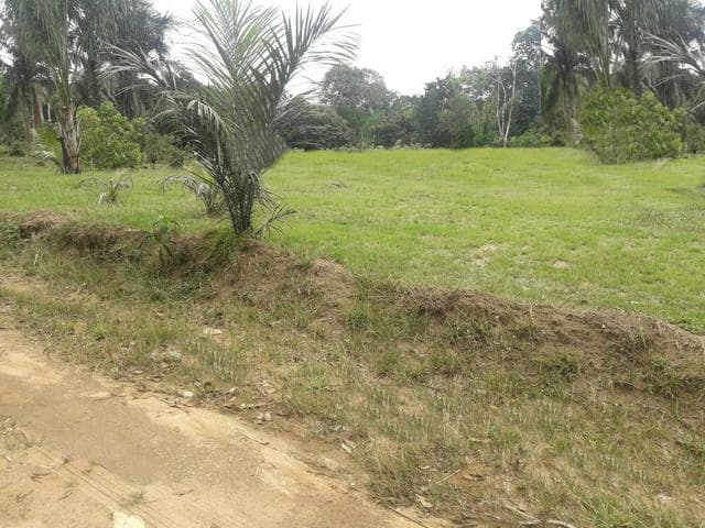 Brasilien 60 Ha Früchtefarm Presidente Figueiredo Am