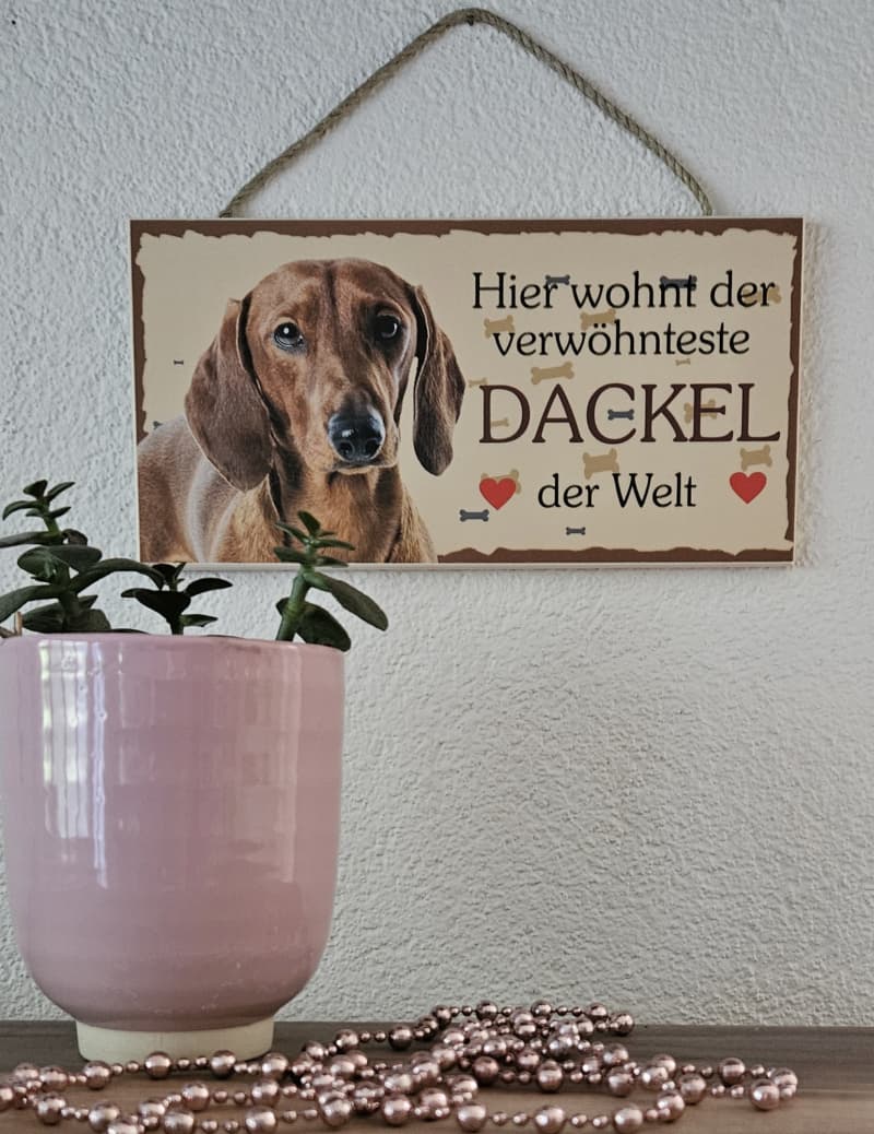 Hunde Holzschild Dackel