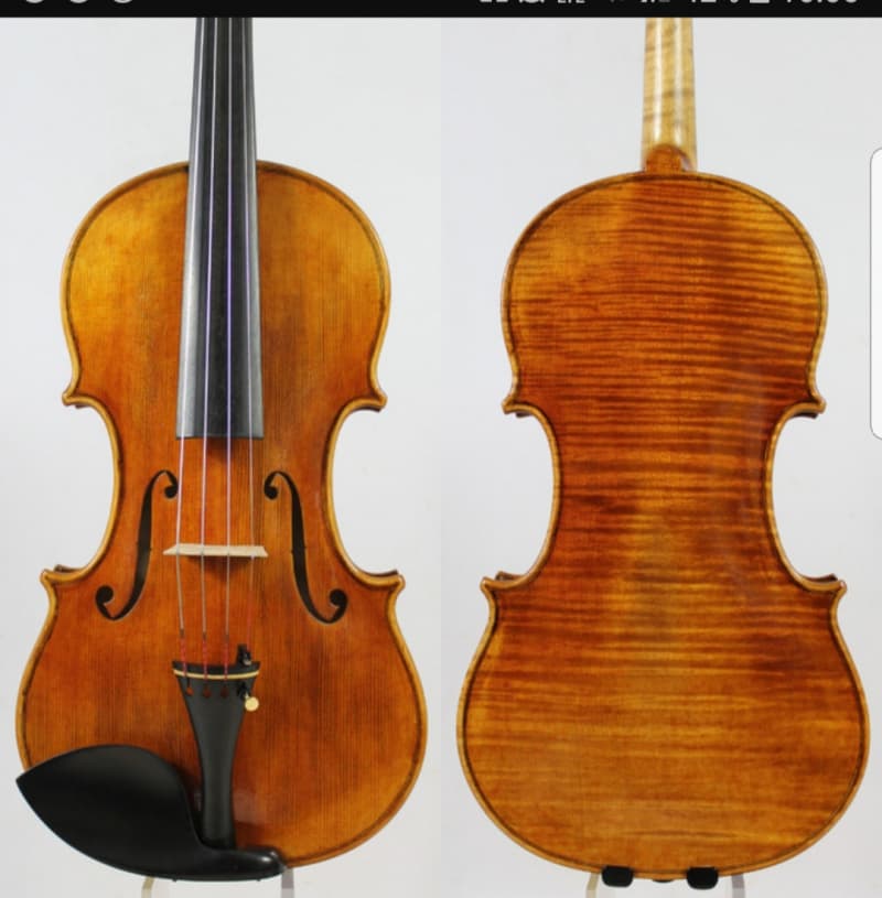 Sammler kauft Antike Violine & Mandoline