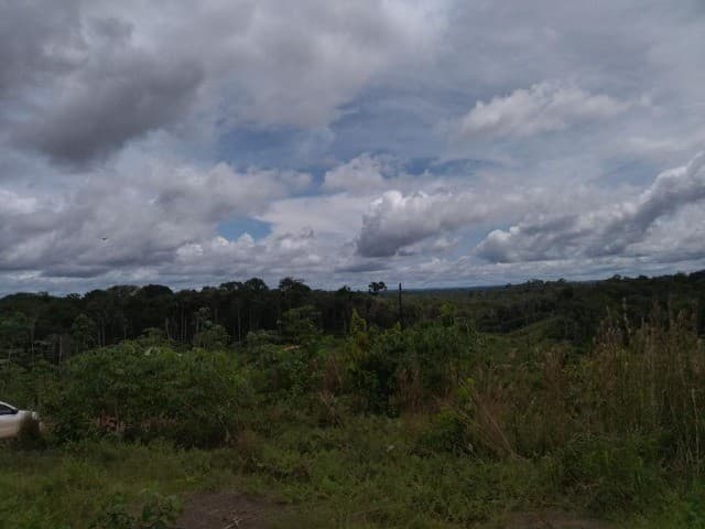 Brasilien 1'000 Ha Tiefpreis - Grundstück mit Rohstoffen Region