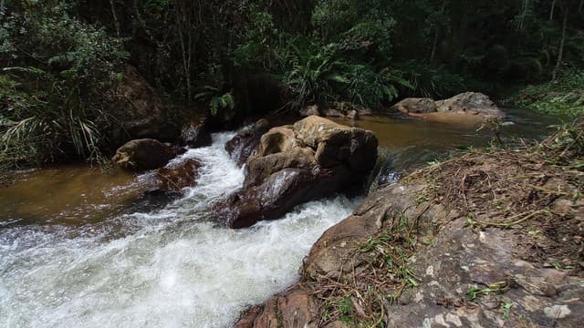 Brasilien 1'000 Ha Tiefpreis - Grundstück mit Rohstoffen Region