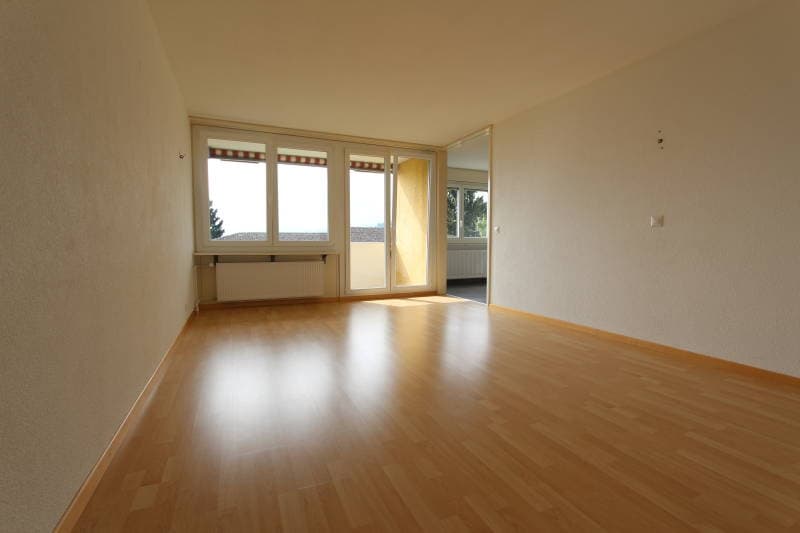 4.5 Zimmer Wohnung mit traumhafter Sicht auf Zürichsee