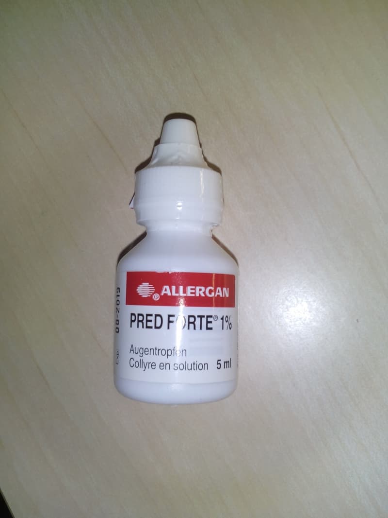 Augentropfen für Hunde