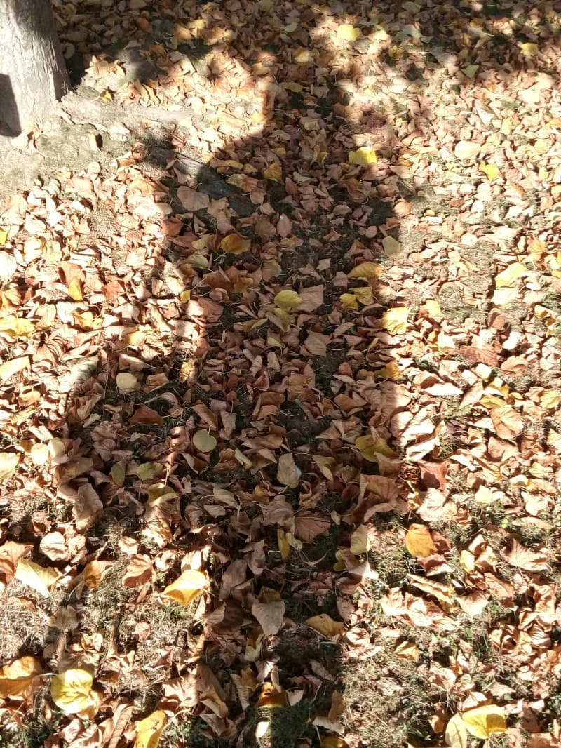 Junges Mami benötigt eine kleine Unterstüzung
