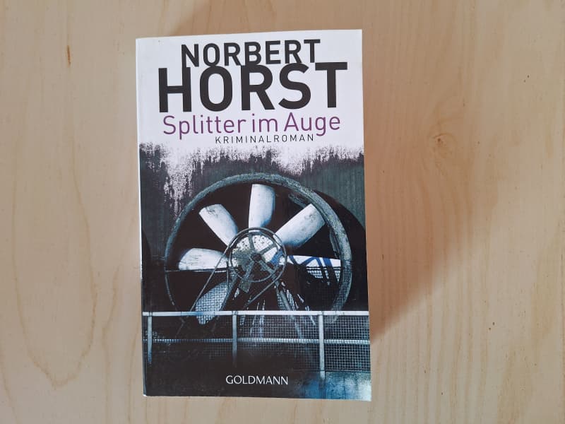 Splitter im Auge. Kriminalroman
