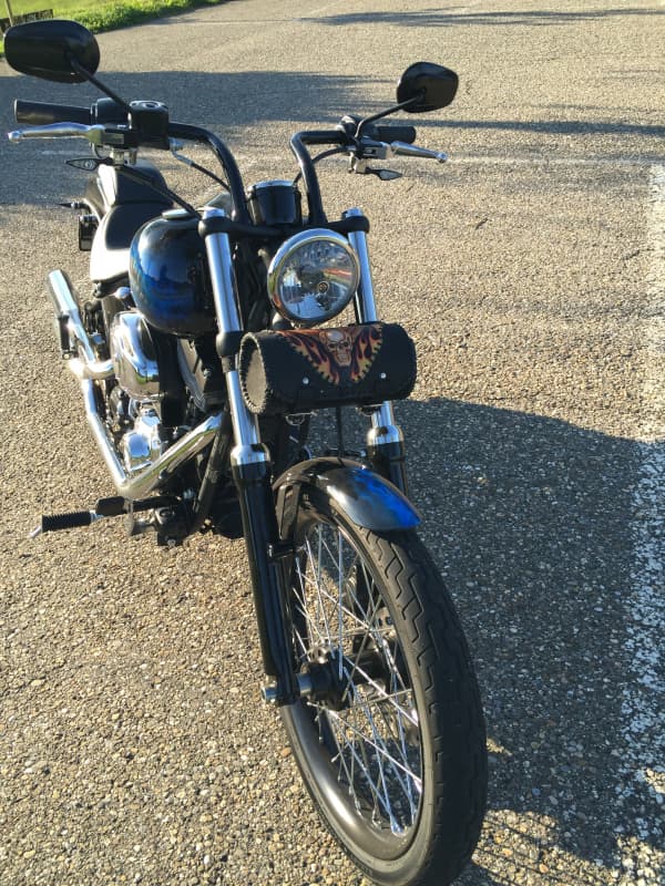 Harley Davidson FXS 1585 Softtail Blackline