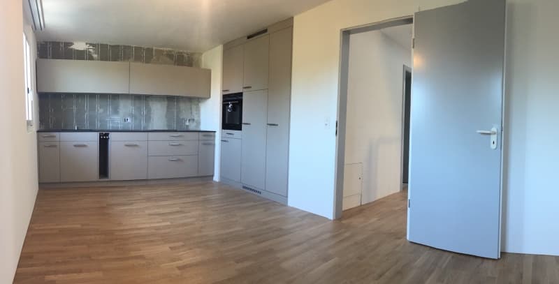 Wunderschöne 3.5 Zimmer Wohnung direkt an Aare!