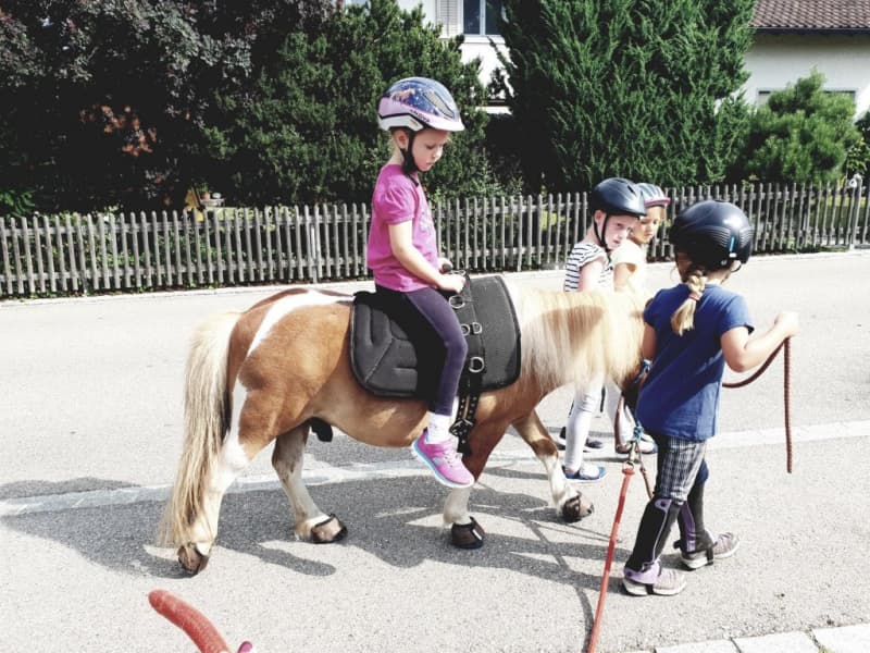 Erlebniswoche/Reitferien rund ums Pferd