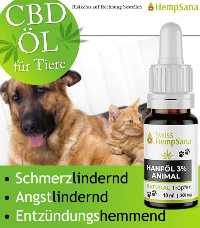 Hempsana - CBD Öl für Haustiere