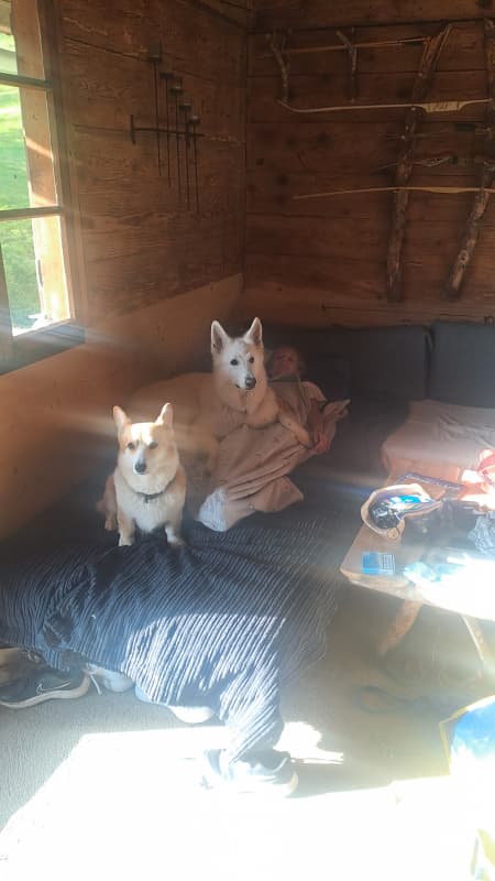 Kleiner Prinz sucht liebevolles zu Hause!