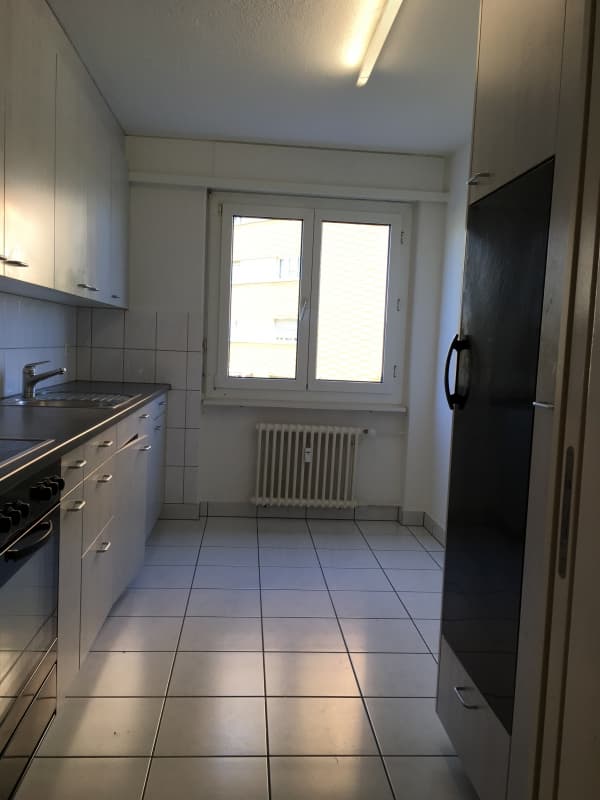 3 Zimmer Wohnung Emmen sucht Nachmieter