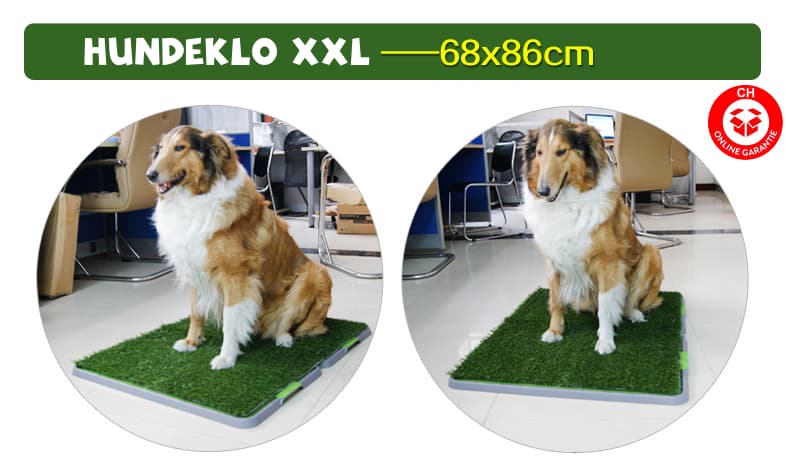 Hundewc Welpentoilette Hundetoilette Hundeklo Welpen Hunde Klo XL