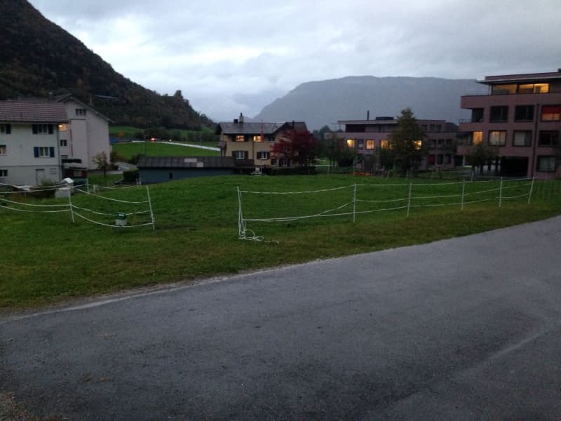 Pferdepension