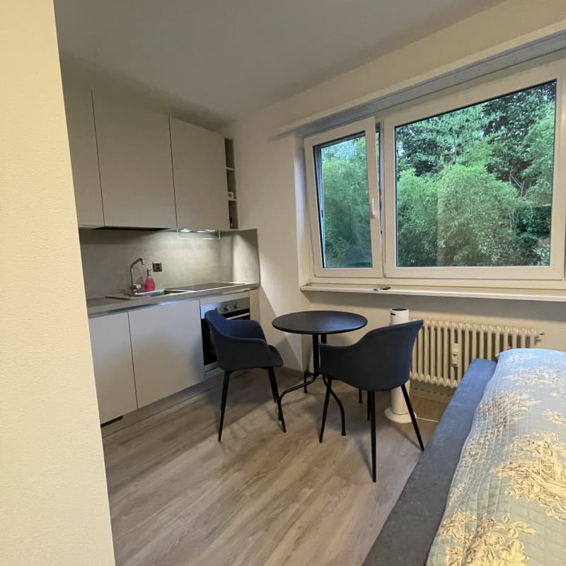Einraumwohnung/Studio