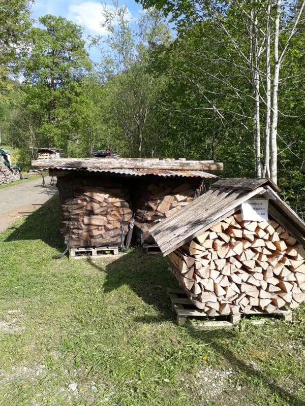 Brennholz