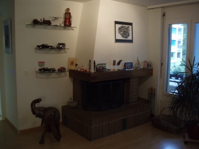 4 1/2 Zimmer Wohnung