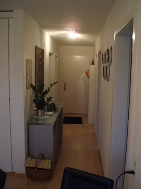 4 1/2 Zimmer Wohnung