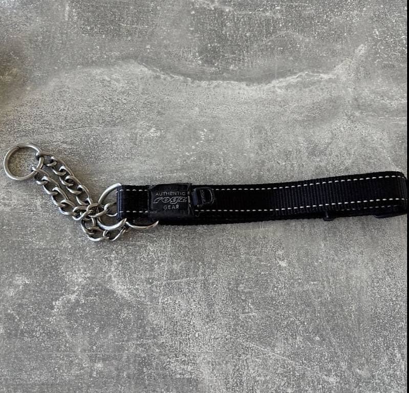 Hundehalsband XL