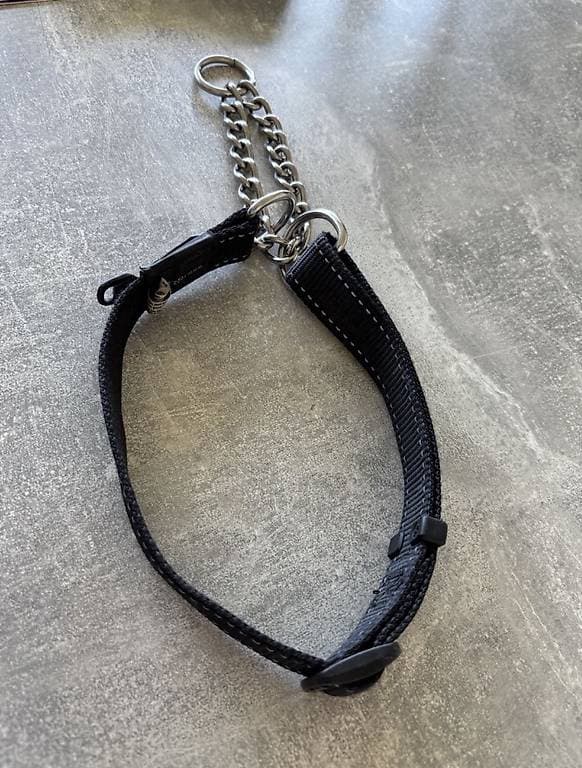 Hundehalsband XL