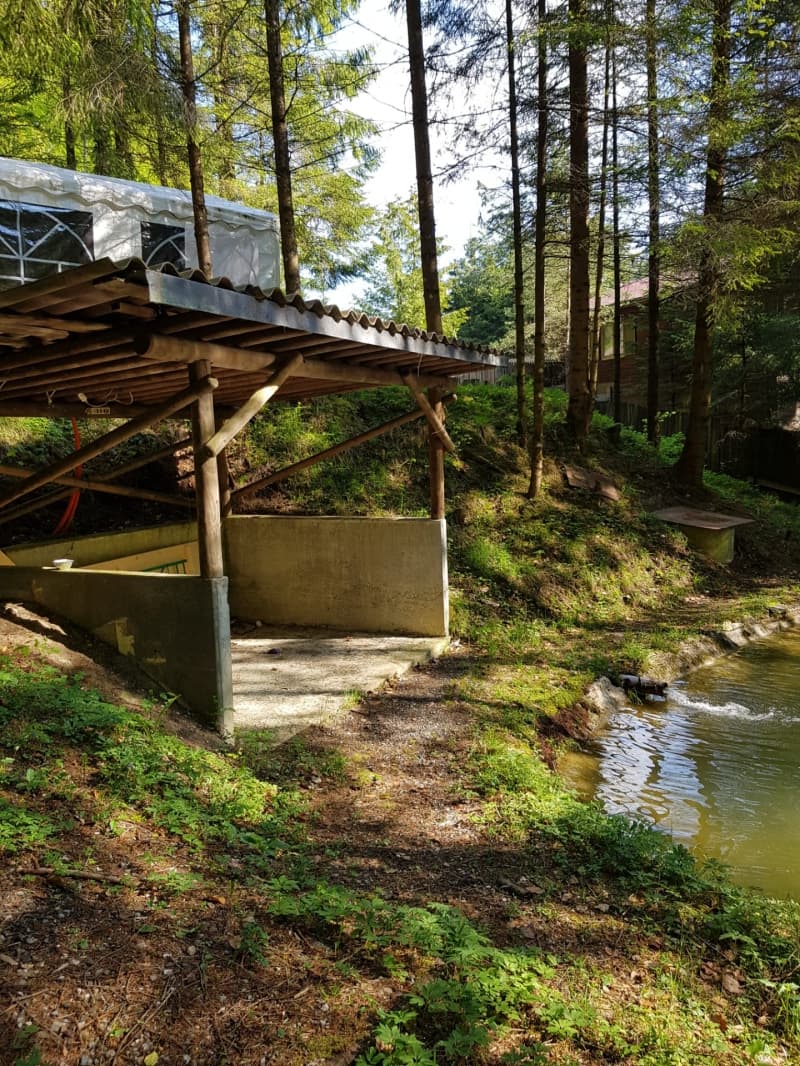 3 kleine Fischweiher