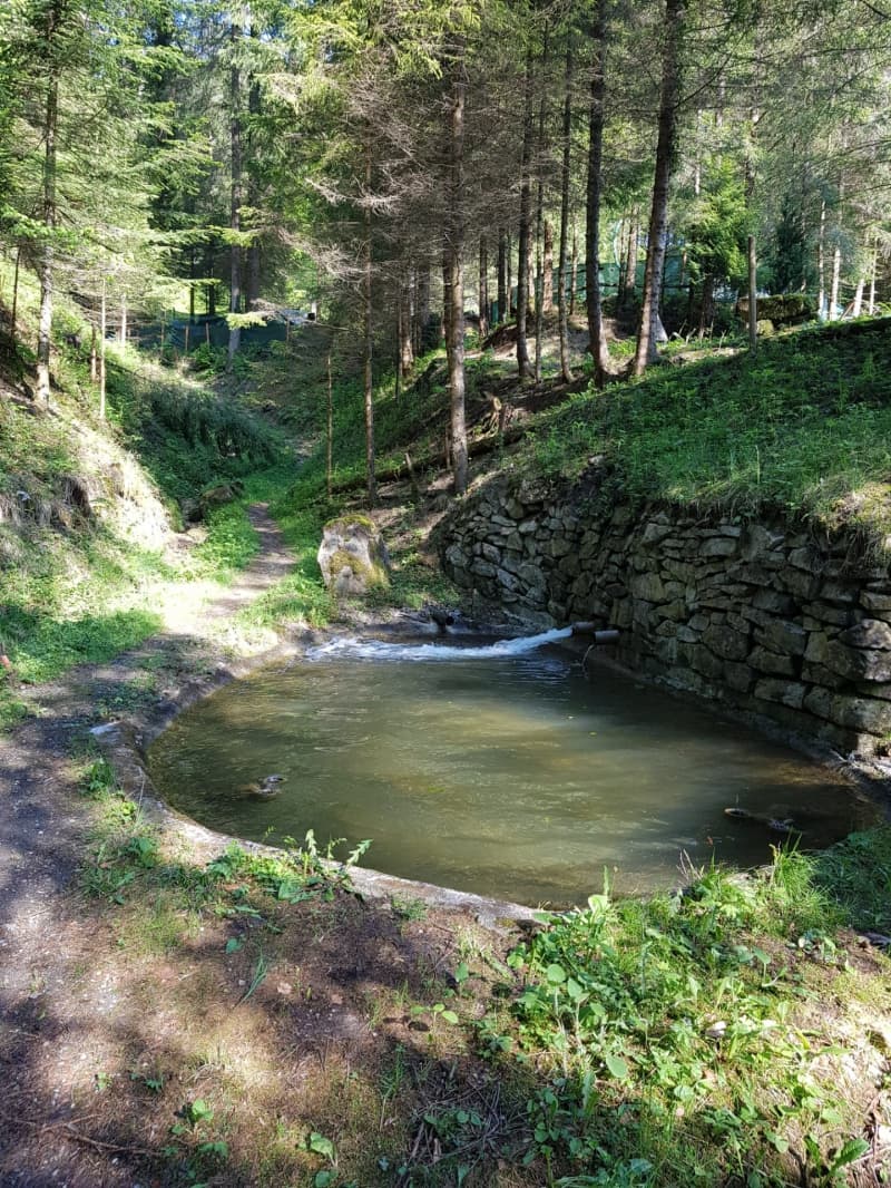 3 kleine Fischweiher