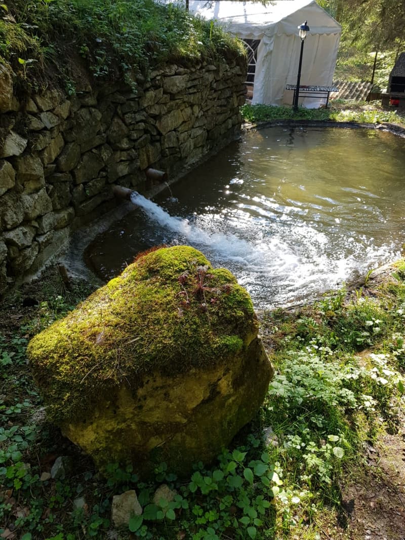 3 kleine Fischweiher