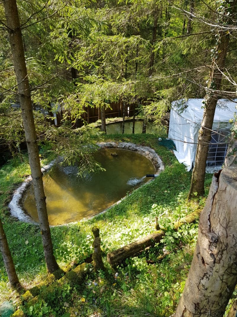 3 kleine Fischweiher