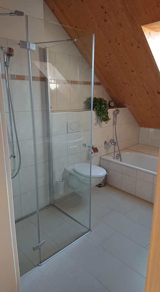 Nachmieter gesucht für 3 1/2 Zimmer Dachwohnung in Uster