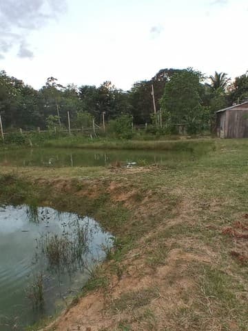 Brasilien 77 Ha grosses Fischzucht - Grundstück bei Presidente Fi