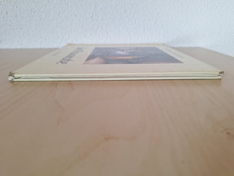 Der Traumrabe
