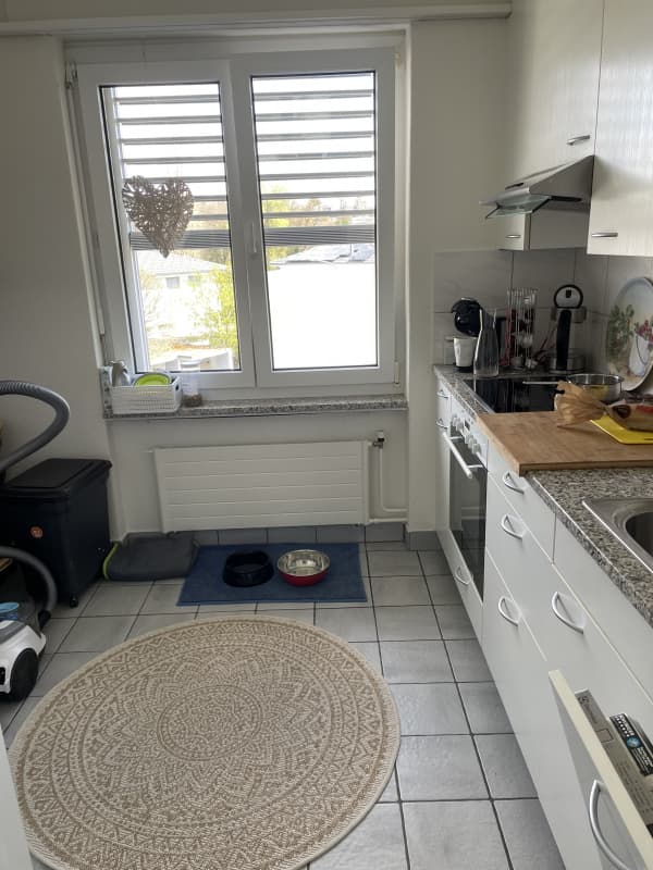 3 Zimmer-Wohnung in Niederhasli mieten
