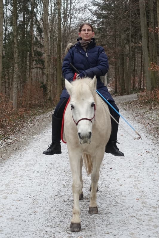 Pferdekommunikation/ Horsemanship/ Unterricht / Problempferd
