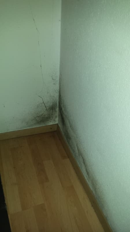 Schimmel und Schimmelpilz - Anti Schimmel Lüfter ASL 100. Schweiz