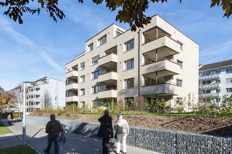 Wohnen in Winterthur-Seen / Nachmieter Gesucht