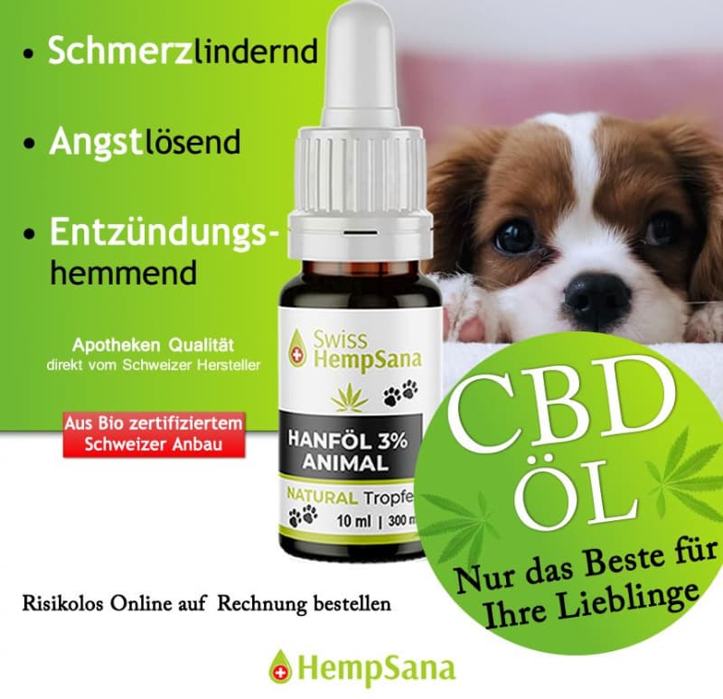Wie wirkt CBD beim Hund ?