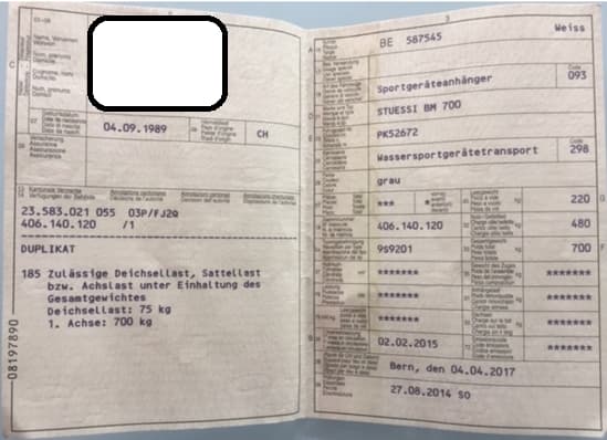motorisiertes Boot «Schweizer Yverlac