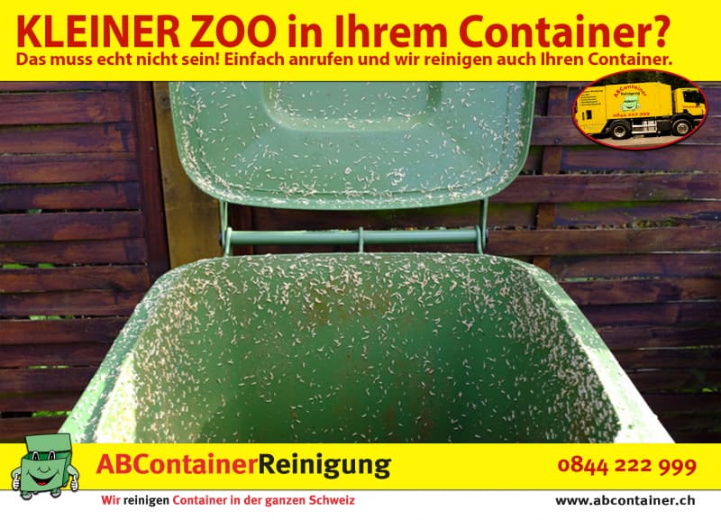 Containerreinigung Schaffhausen Oerlingen Mettlen Ossingen Benken