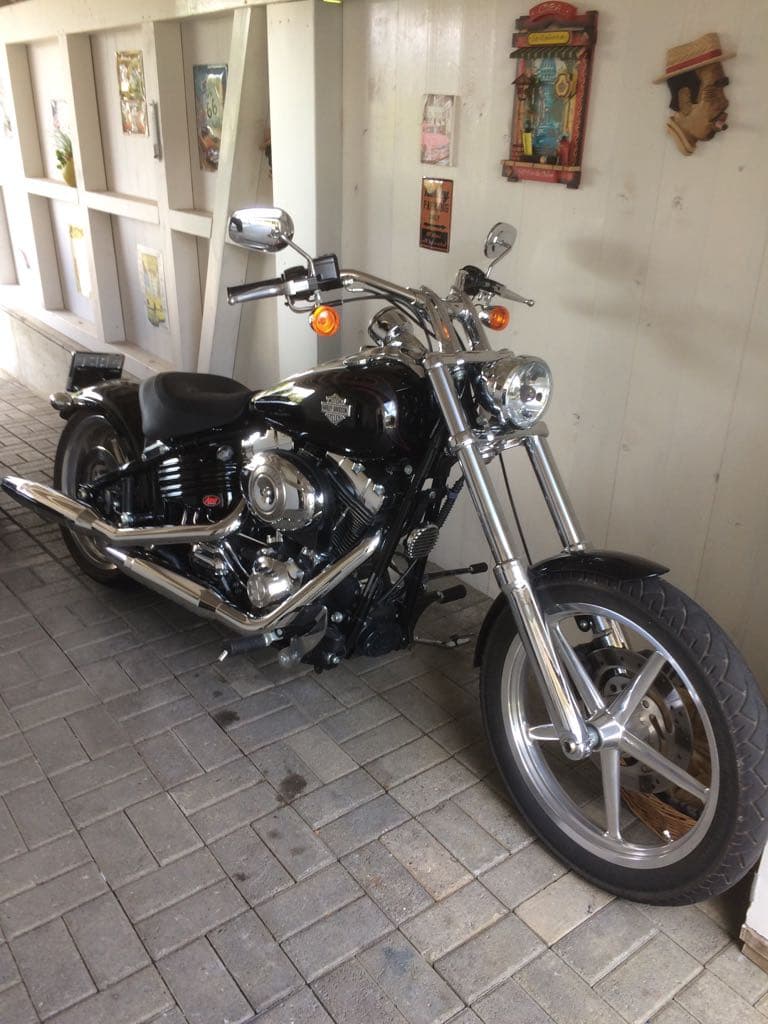 Wunderschöner Harley Davidson sucht neuer Besitzer