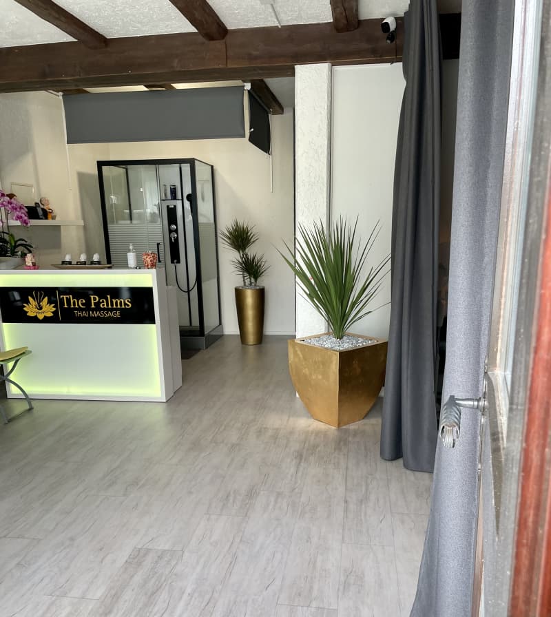 The Palms THAI MASSAGE Herzogenbuchsee ab 90 CHF