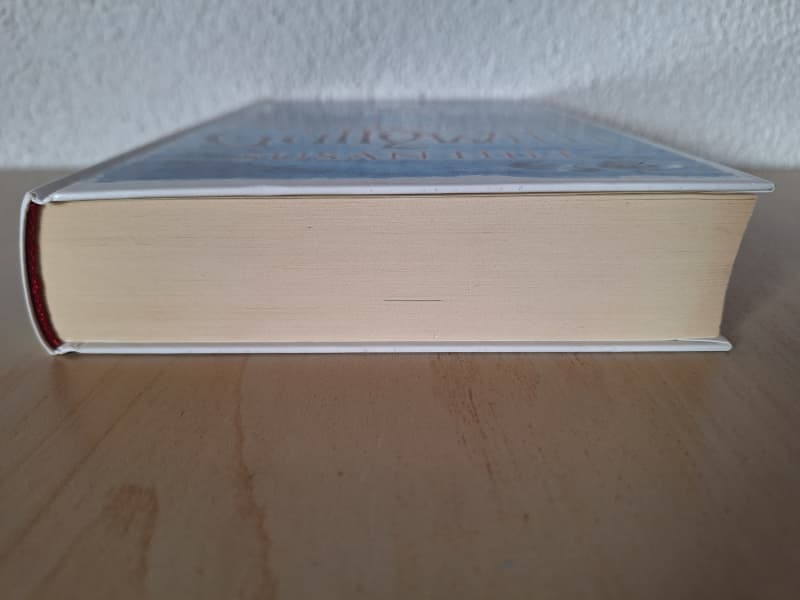 Der Kampf um Gullywith von Susan Hill