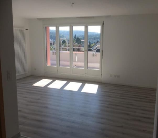Neu Renovierte 3.5 Zimmer Attika-Wohnung